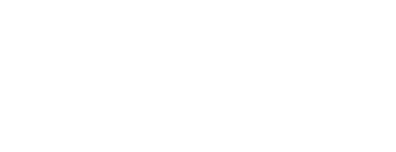 IRIS Logo